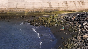 FOTOGRAMA AUTOBIOGRÁFICO